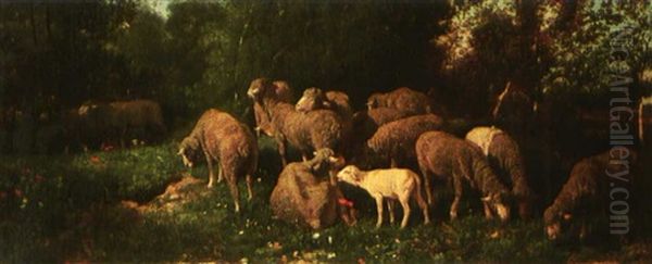 Les Moutons Dans Le Sous-bois - view 1