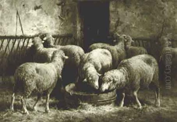 Les Moutons A L'etable - view 1