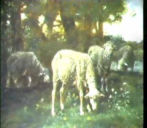 Schafe Am Waldrand by Charles Emile Jacque
