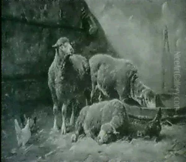 The Sheep Pen - view 1