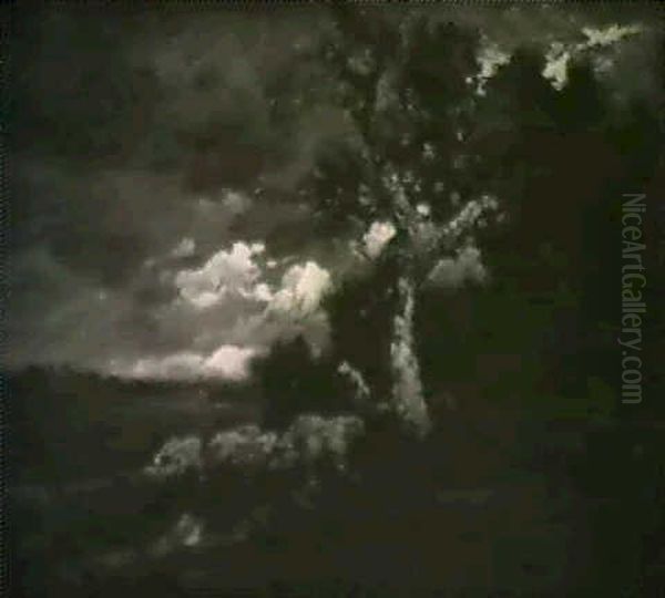 Sheep Grazing Under A Tree - view 1