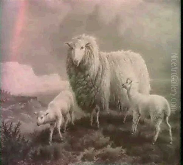 Sheep On A Cliff - view 1
