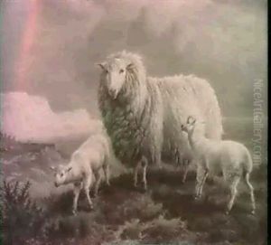 Sheep On A Cliff