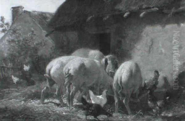 Animaux - view 1