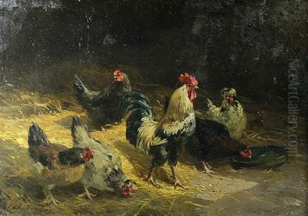 Roosters And Hens - view 1