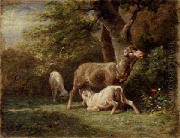 Sheep Attending Her Young - view 1