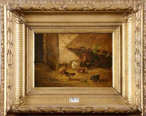 Coq Et Poules Sur La Paille