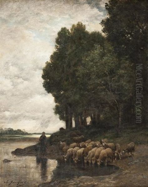 Moutons Au Bord De La Riviere - view 1