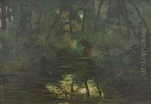 Paysage Au Sous-bois Et Lac Paysage Au Sous-bois Et Lac