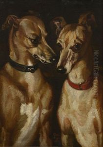 Portrait De Chiens