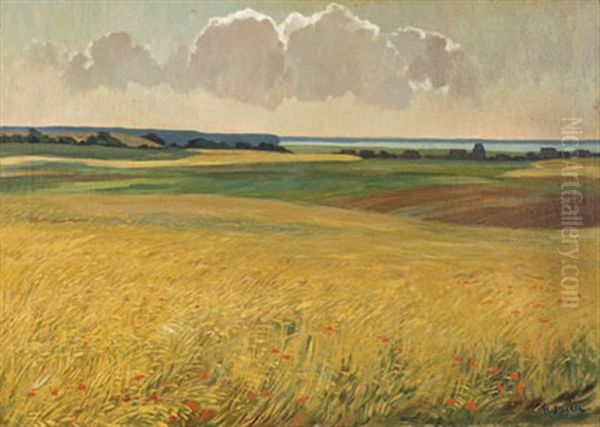 Boddenlandschaft - view 1
