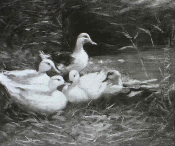 Entenfamilie Am Seeufer - view 1