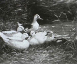 Entenfamilie Am Seeufer Entenfamilie Am Seeufer