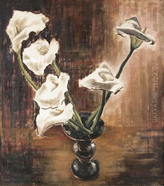 Callas - view 1