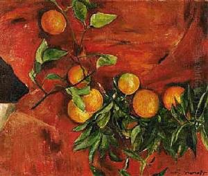 Stilleben Mit Orangen