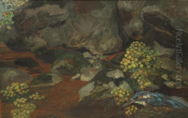 Eisvogel - view 1