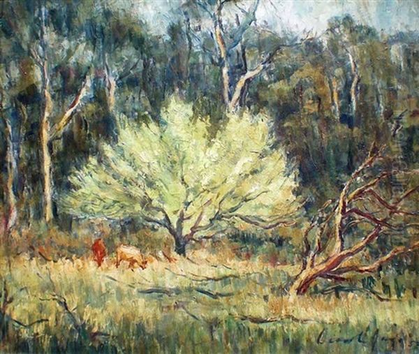 Trees And Cattle - view 1
