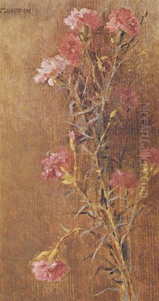Carnations - view 1