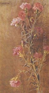 Carnations Carnations