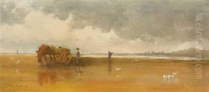 Gathering Kelp On Merrion Strand