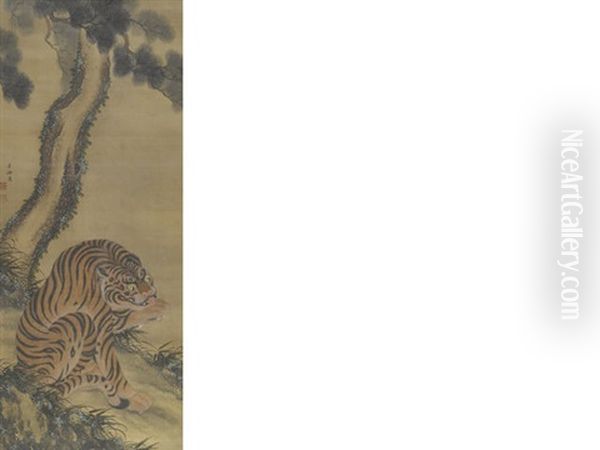 Tiger - view 1