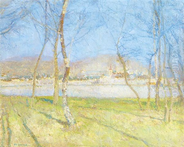 By The River In Spring - view 1