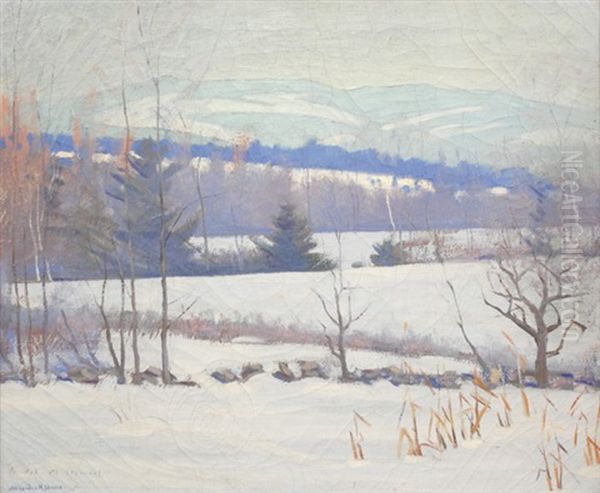 Winter Landscape - view 1