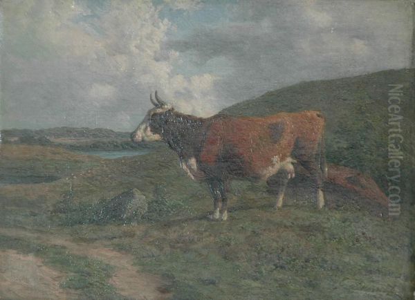 Cow In A Pasture - view 1