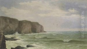 Coastal Landscape Coastal Landscape