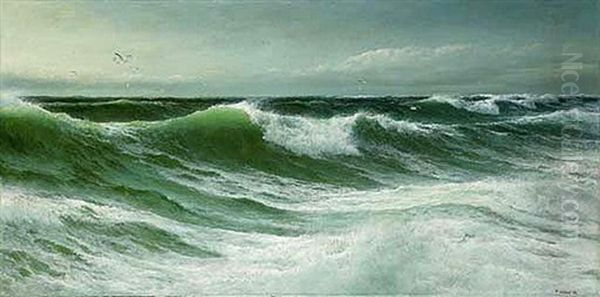 Waves On The Atlantic Coast - view 1