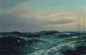 Seagulls Near The Shore