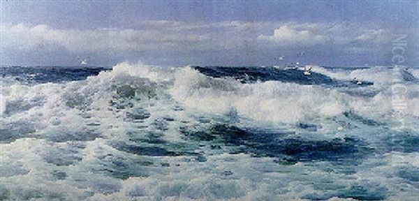 Surf - view 1