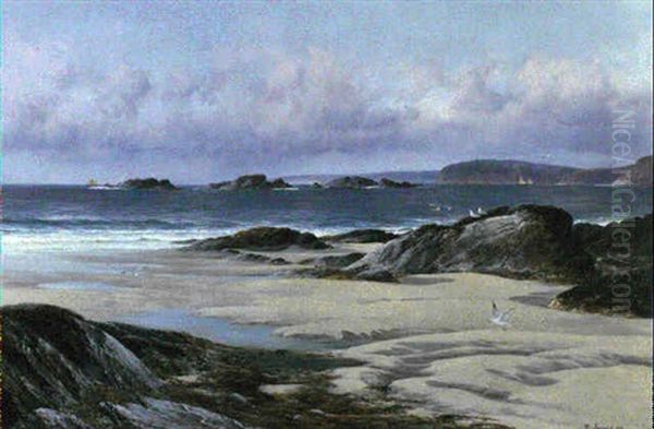 Low Tide - view 1