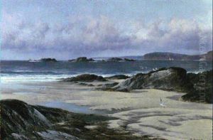Low Tide