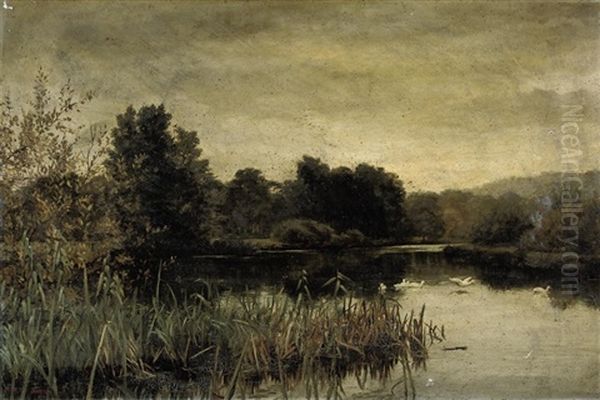 A Tranquil Spot On The River - view 1