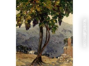 The Old Vine, San Giminiano, Italy