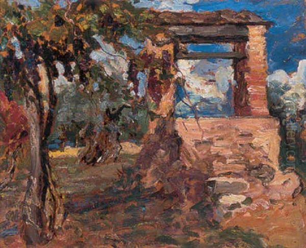 Olive Grove - view 1