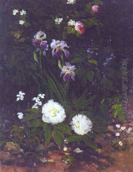 Irises, Roses And Begonias In A Flowerbed - view 1