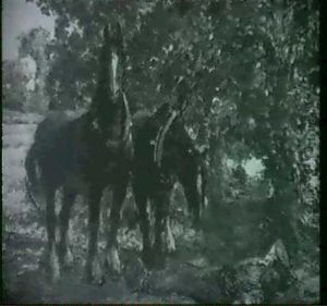 A Sleeping Stable Lad A Sleeping Stable Lad