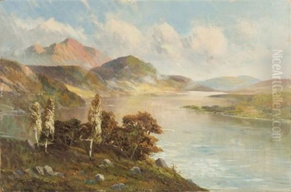Paisaje Montanoso Con Lago - view 1
