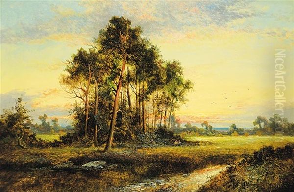 Untitled - Sunset In The Forest - view 1