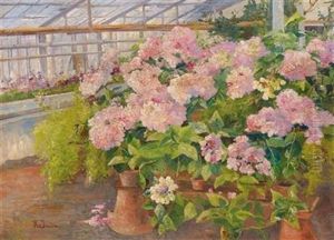 Hortensias In The ... Greenhouse by Hermine Von Janda