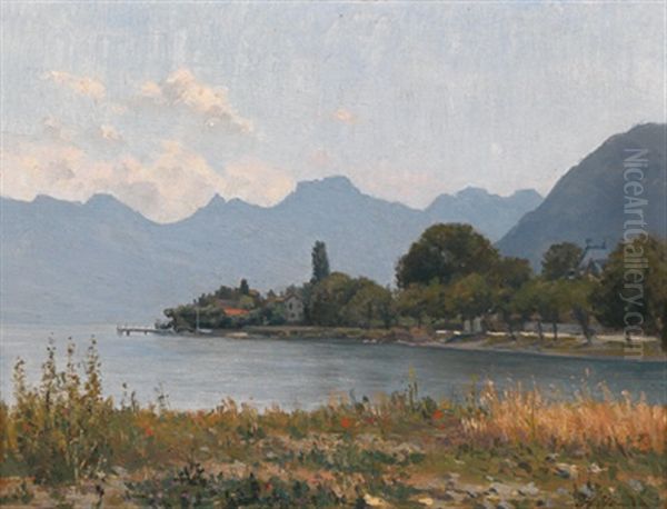 Blick Auf Den Attersee - view 1