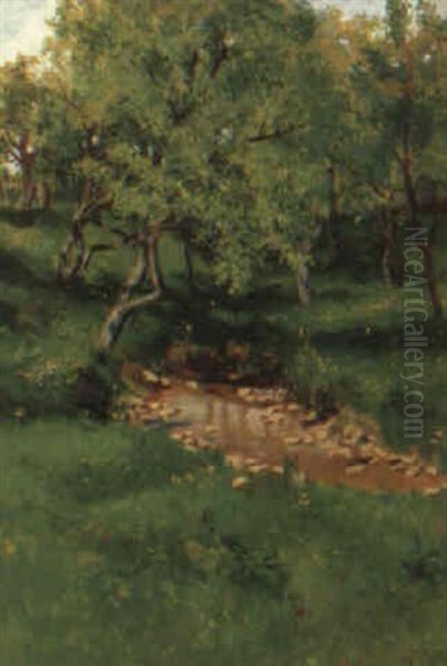 Baumlandschaft Mit Kleinem Tumpel - view 1