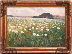 Blooming Meadow Blooming Meadow