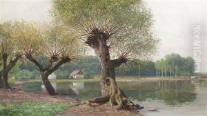Willows By A Pond by Vaclav Jansa