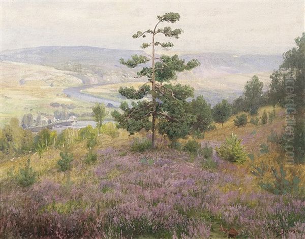Z Letni Vyhlidky - view 1