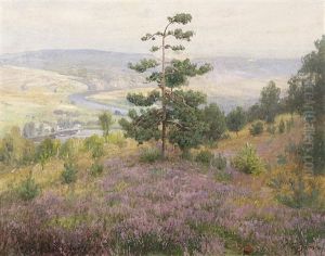 Z Letni Vyhlidky by Vaclav Jansa