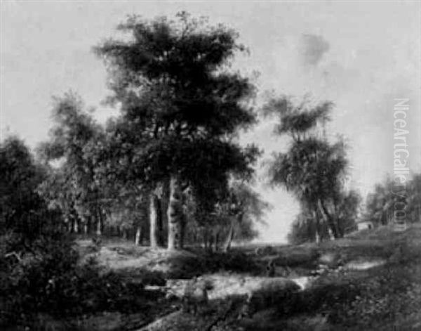 Romantische Waldlandschaft - view 1