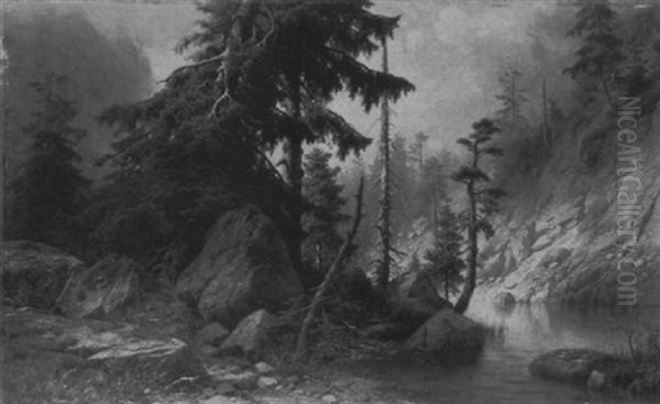 Aufziehendes Gewitter Im Gebirge - view 1